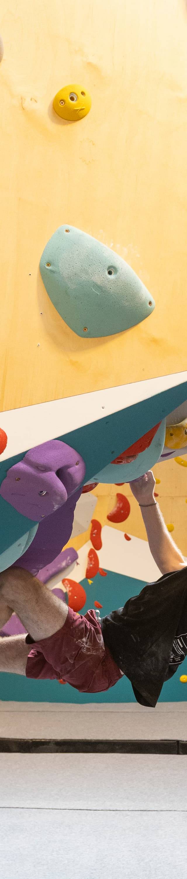 Bouldering wall with route holds